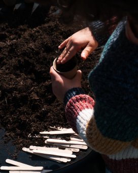 Outdoor Arts Planting 3