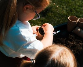 Outdoor Arts Planting