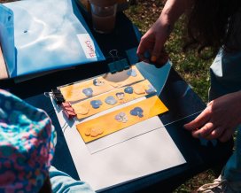 Outdoor Arts Anthotype Bookmarks